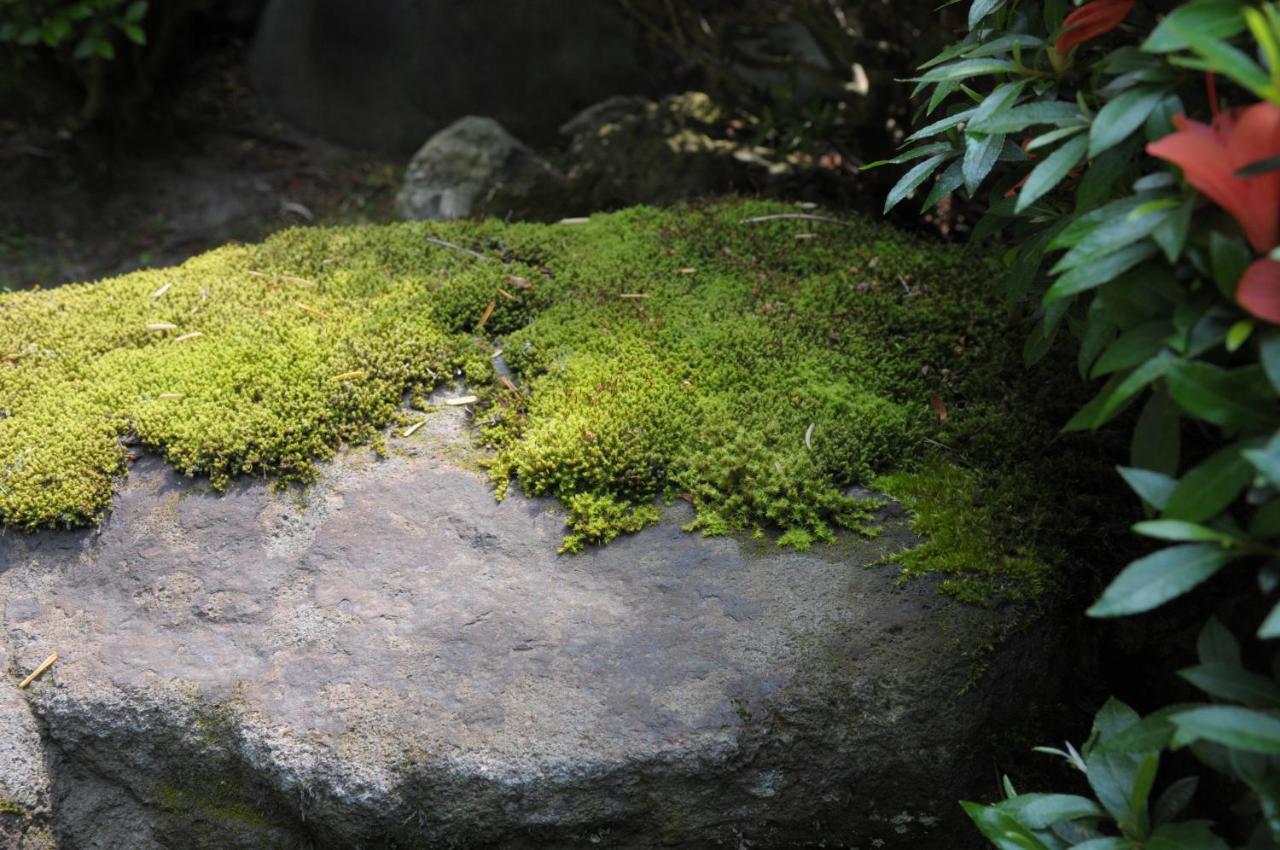 Owani Historical Ryokan Senyukan מראה חיצוני תמונה