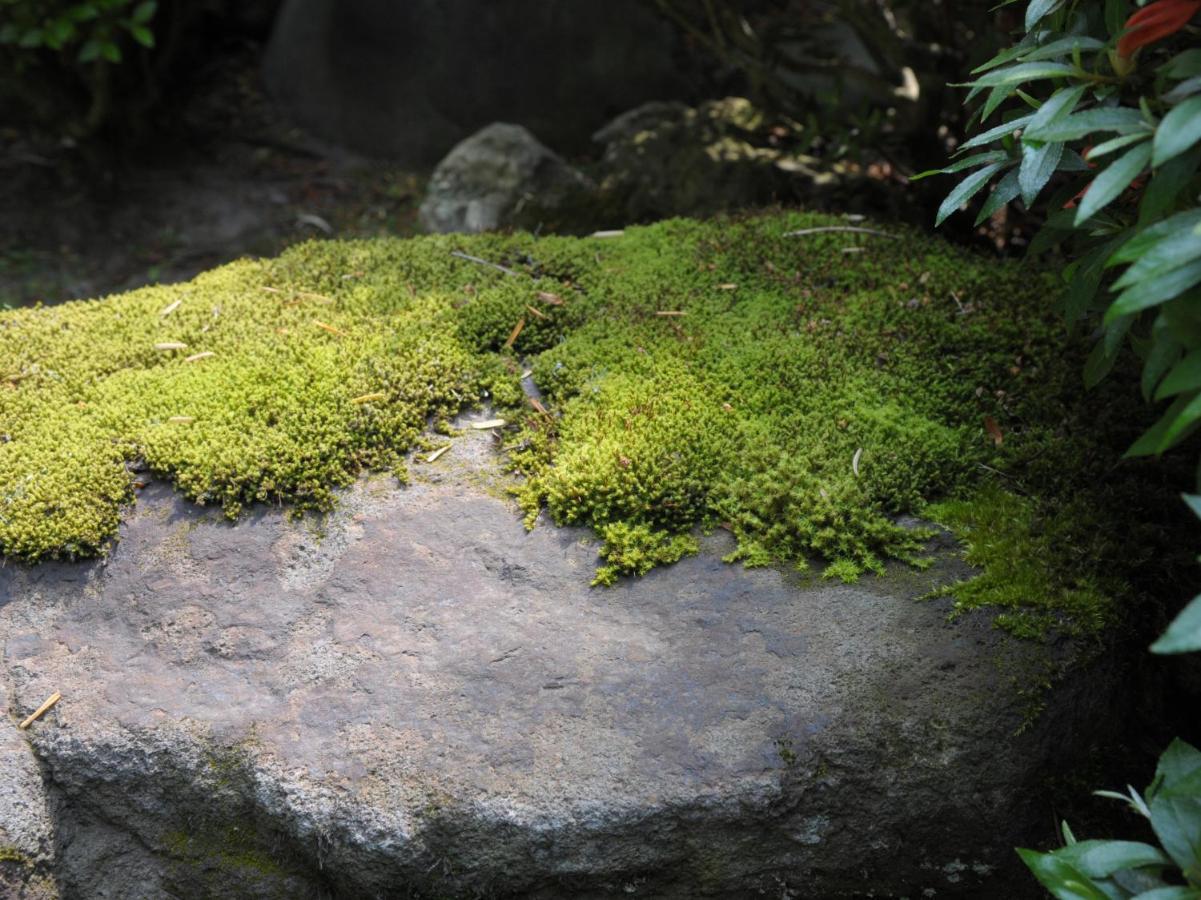 Owani Historical Ryokan Senyukan מראה חיצוני תמונה